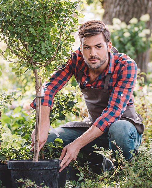 Jardinage a domicile