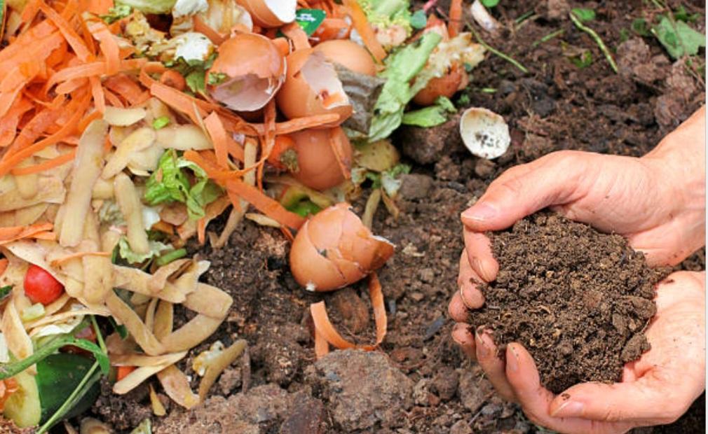 Janvier 2024: compost obligatoire pour tous les français!
